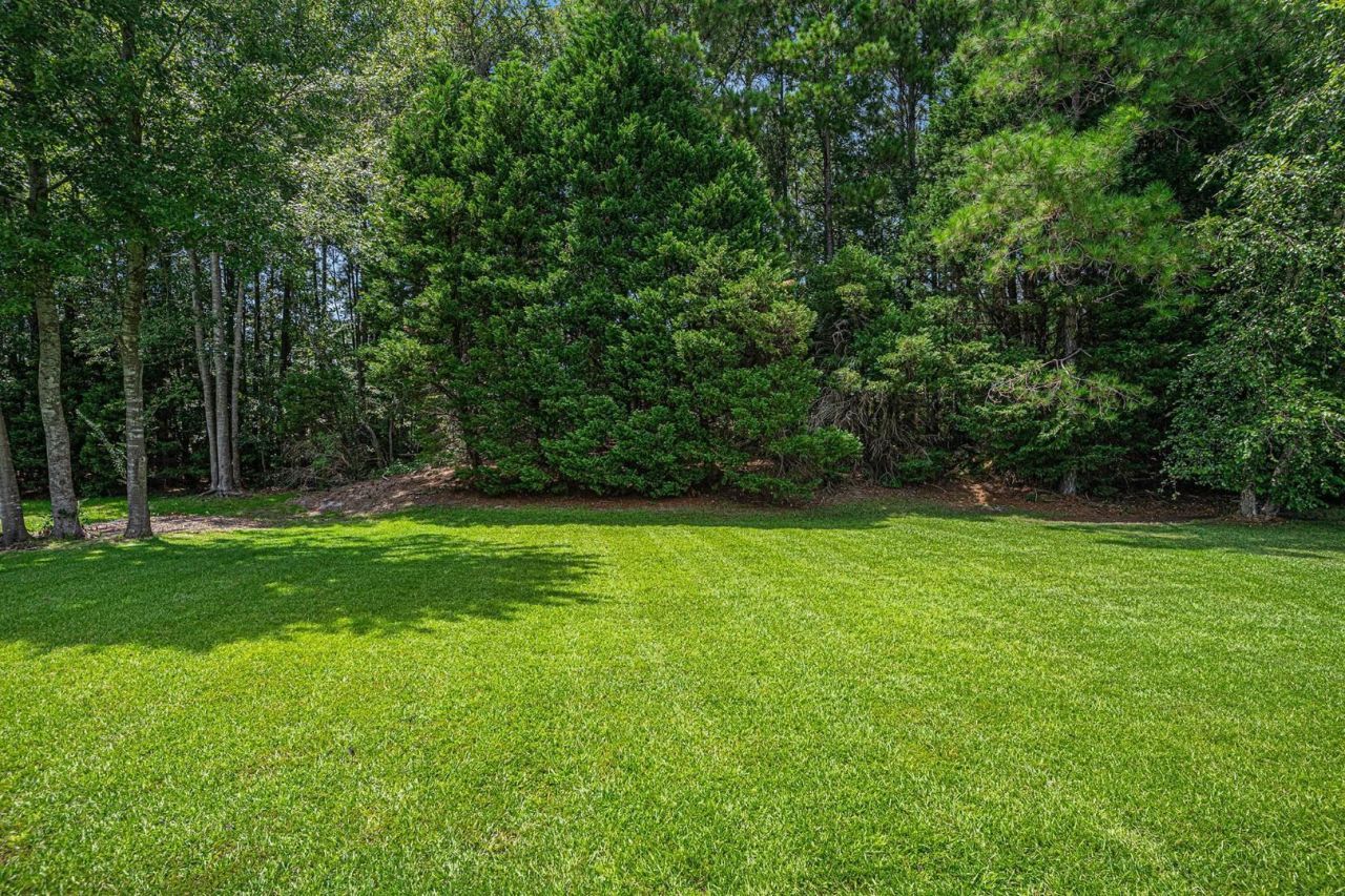 253 Carriage Lake Dr.  Photo 26