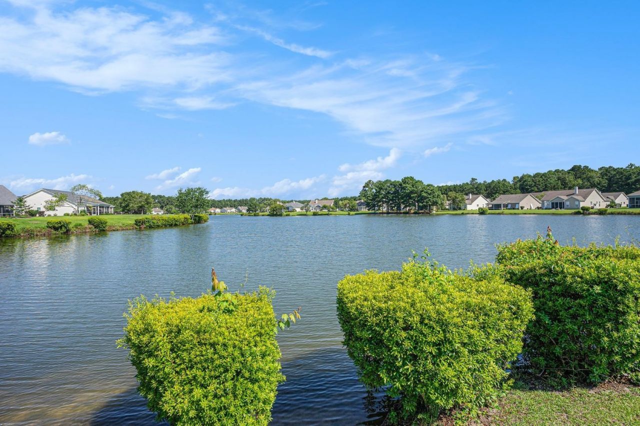 253 Carriage Lake Dr.  Photo 30