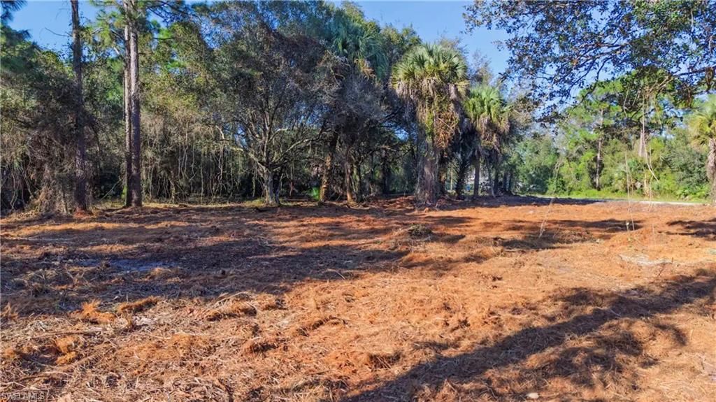 339 Perimeter Rd , Clewiston, FL 33440 Photo