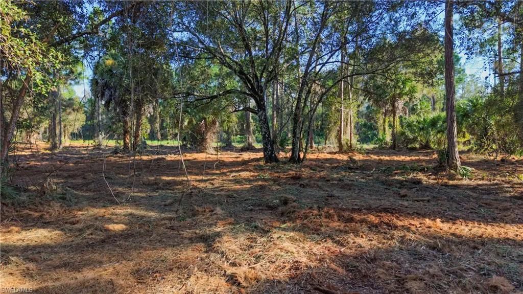 339 Perimeter Rd , Clewiston, FL 33440 Photo