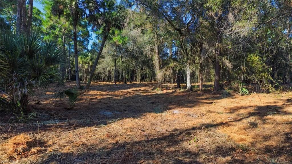 339 Perimeter Rd , Clewiston, FL 33440 Photo