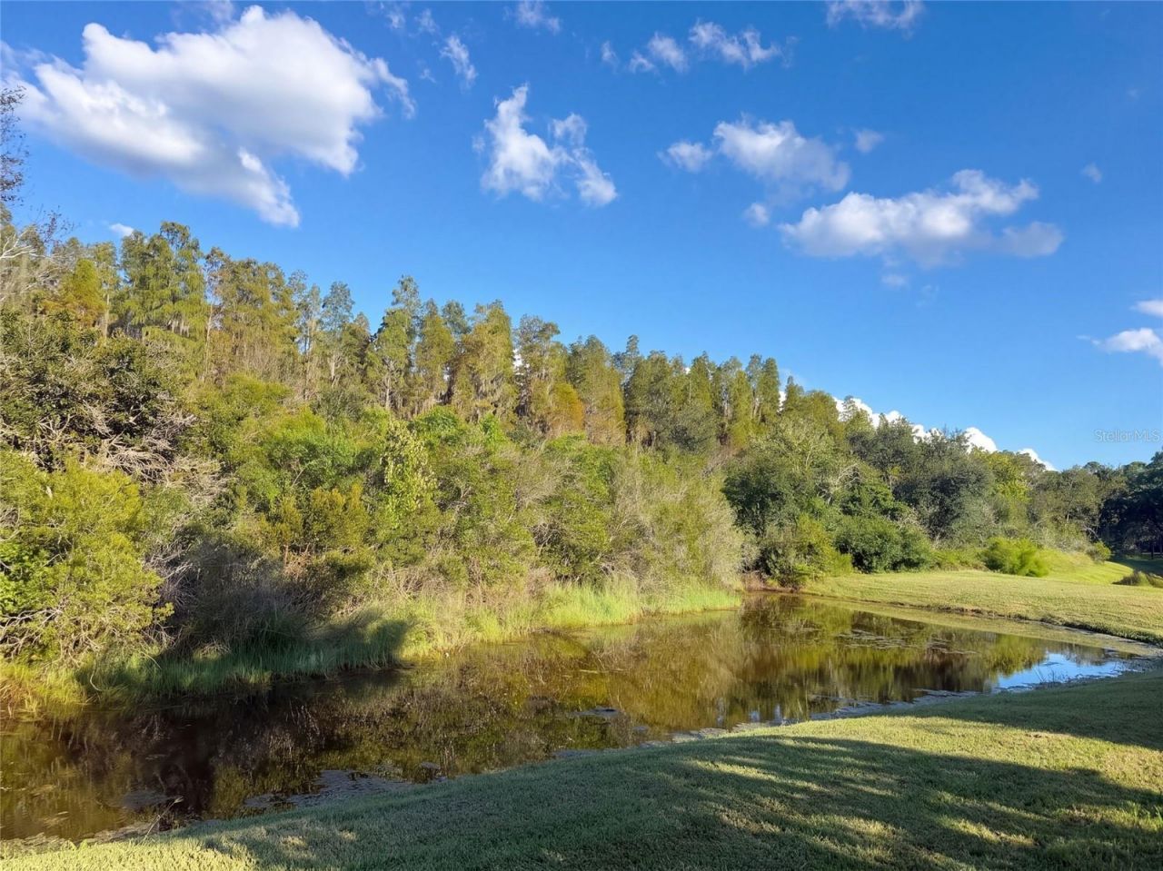 12424 Belcroft Drive , Riverview, FL 33579 Photo
