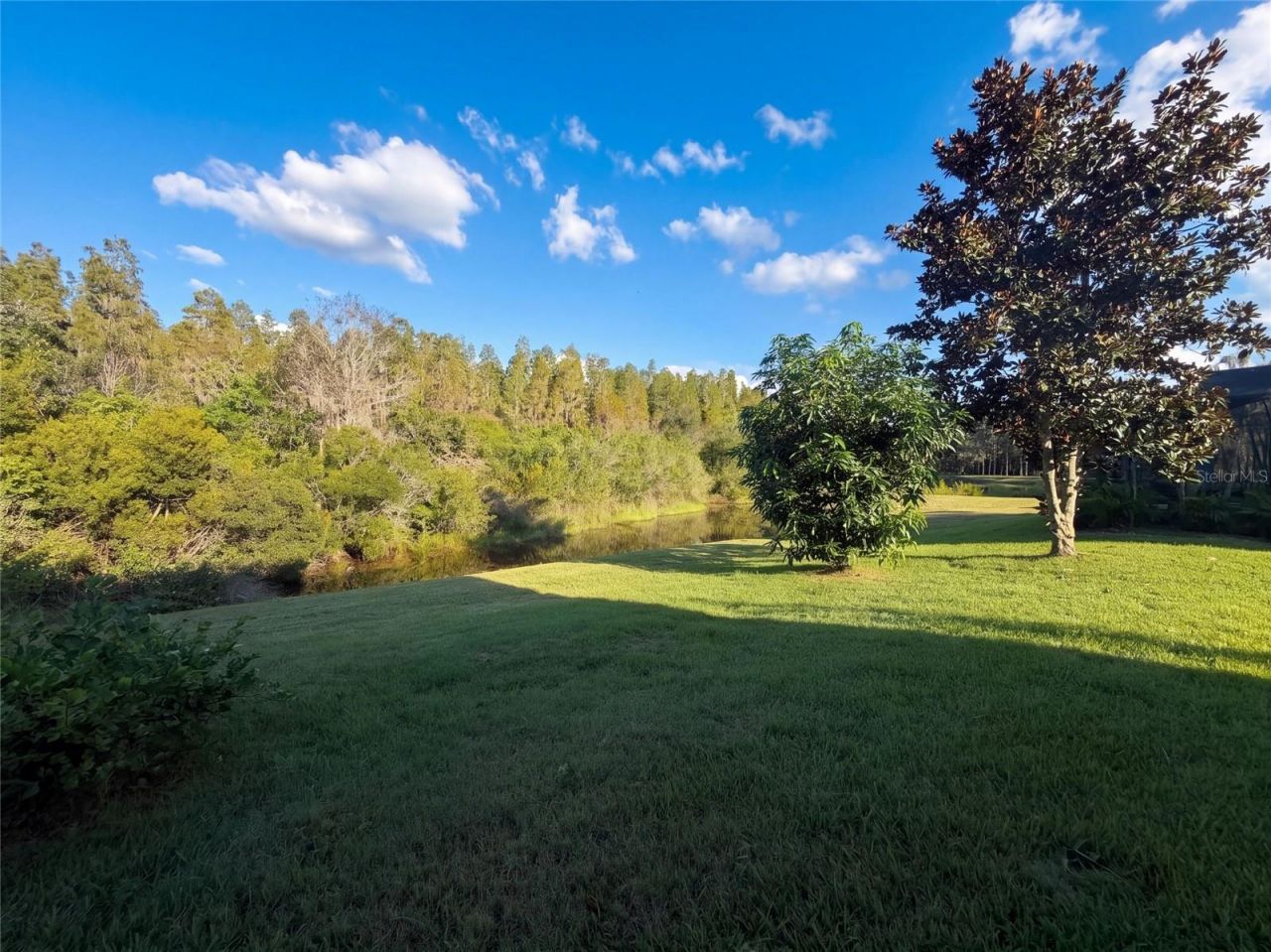 12424 Belcroft Drive , Riverview, FL 33579 Photo
