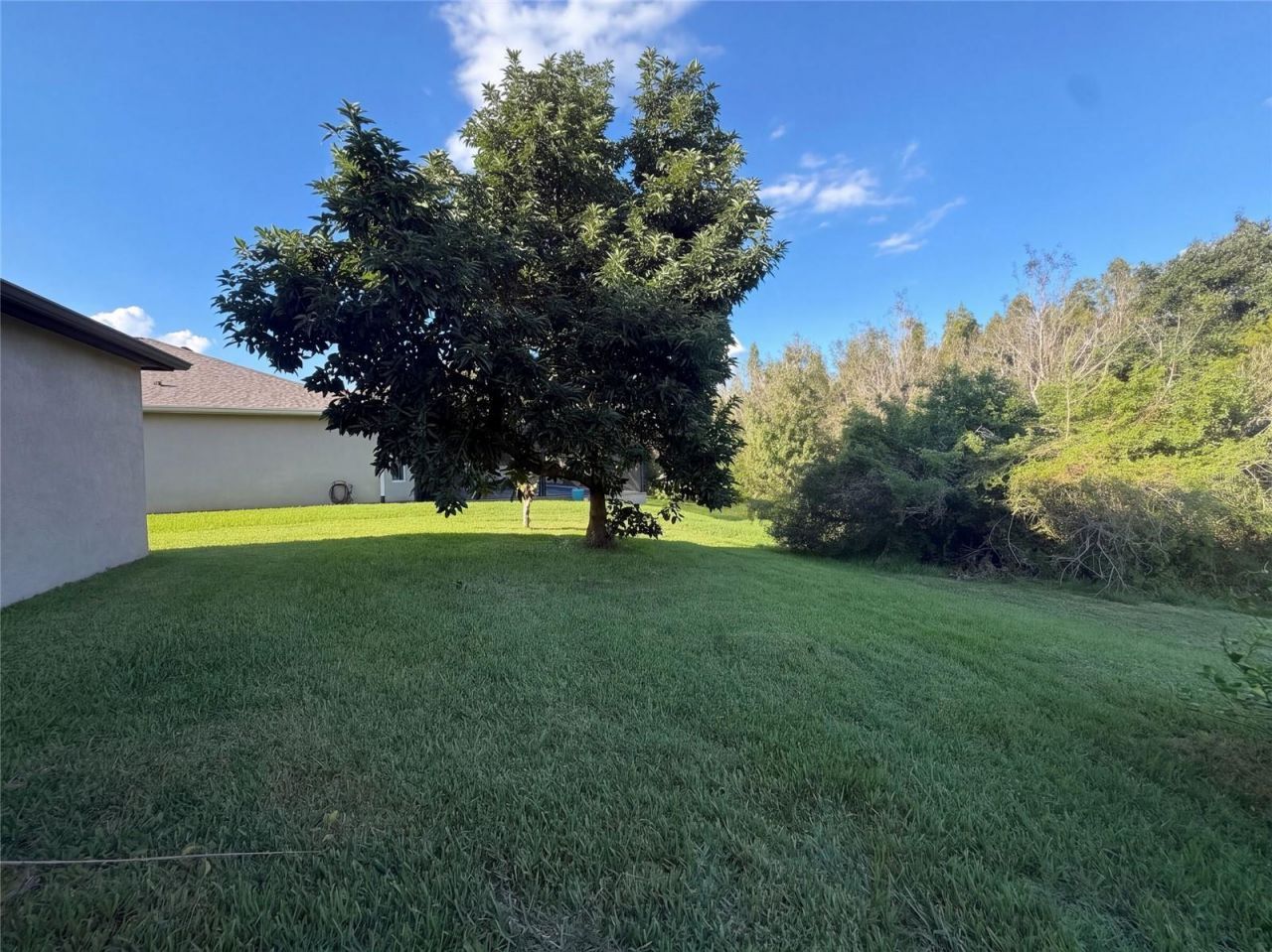 12424 Belcroft Drive , Riverview, FL 33579 Photo
