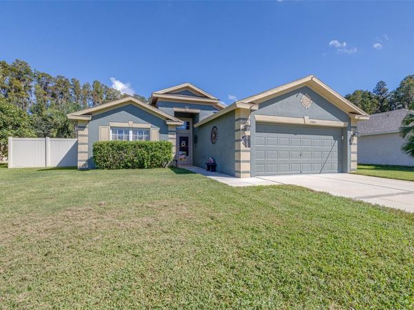30843 LUHMAN COURT , WESLEY CHAPEL, FL 33543