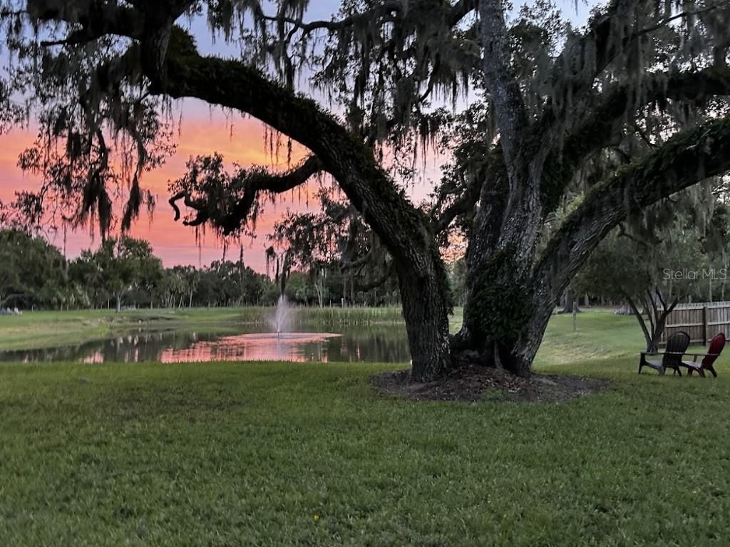 7865 27th Street E, Sarasota, FL 34243 Photo