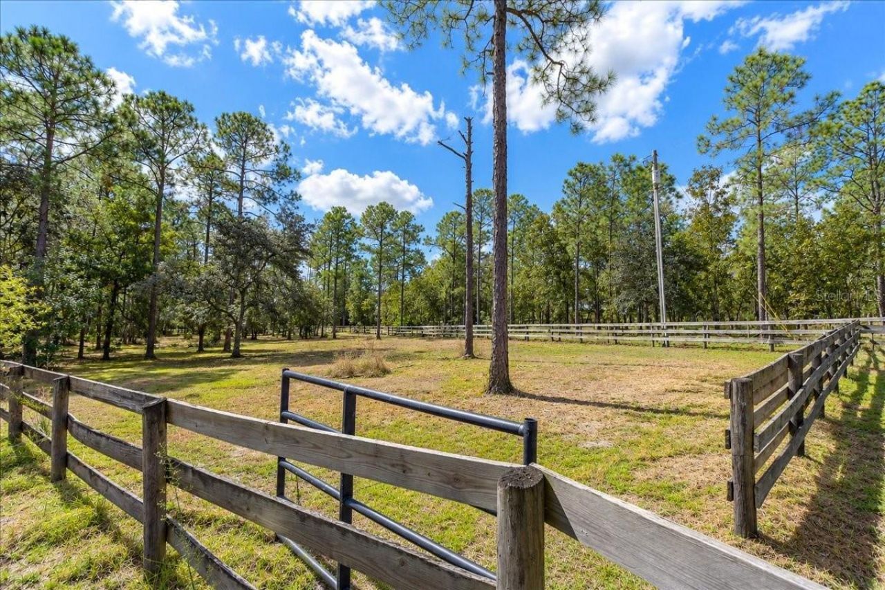 12931 SE 21st Place , Morriston, FL 32668 Photo