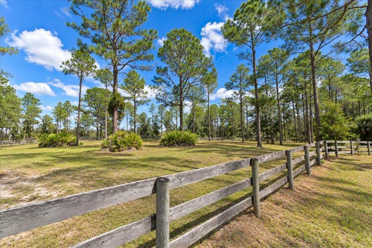 12931 SE 21st Place , Morriston, FL 32668 Photo