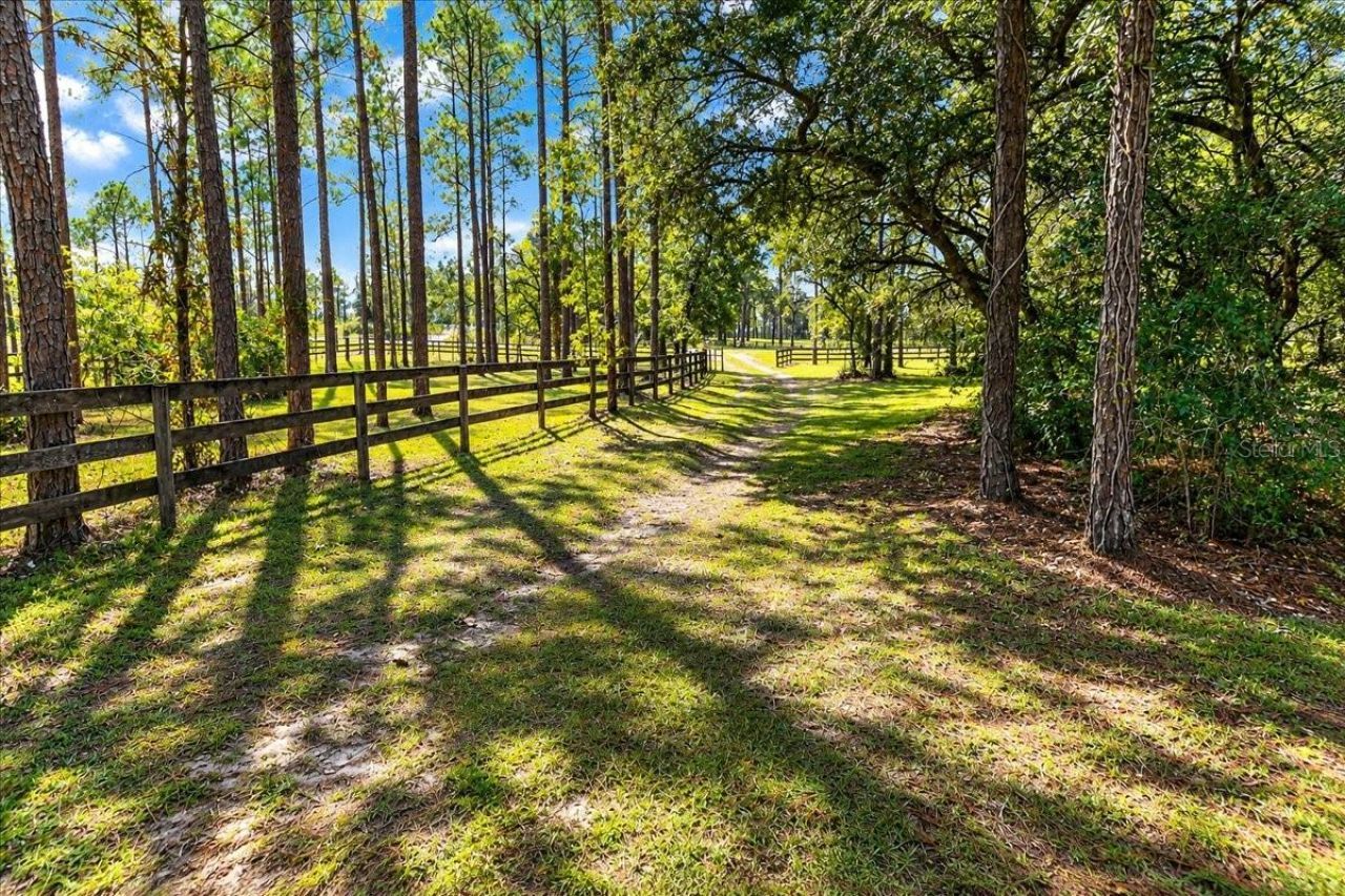 12931 SE 21st Place , Morriston, FL 32668 Photo