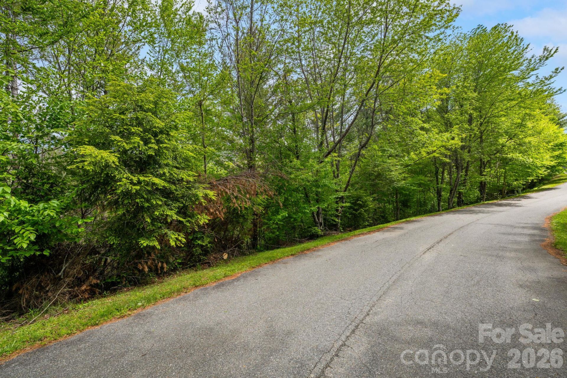 Lot 38 White Fox Lane , Banner Elk, NC 28604 Main Photo
