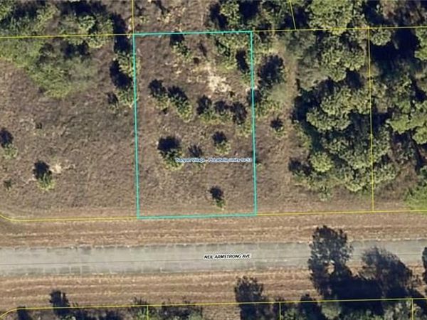 222 Neil Armstrong AVE , LABELLE, FL 33935