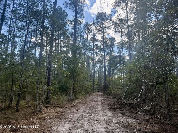 Frank Murphy Road , Lucedale, MS 39452
