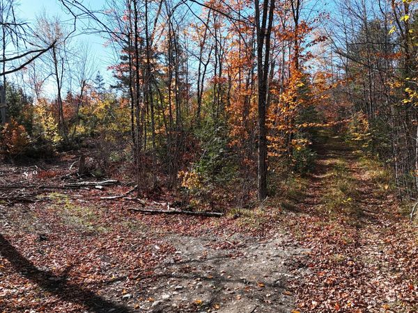Lot 1 Old County Road , Woodville, ME 04457
