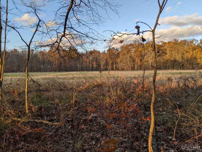 acres Yankeetown Road, Hamersville, OH 45130 Photo 6