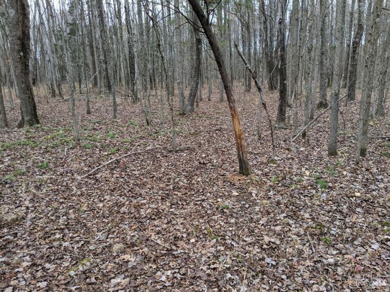 acres Yankeetown Road, Hamersville, OH 45130 Photo 7