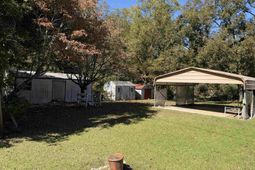 175 Peacan Grove Road  photo 4