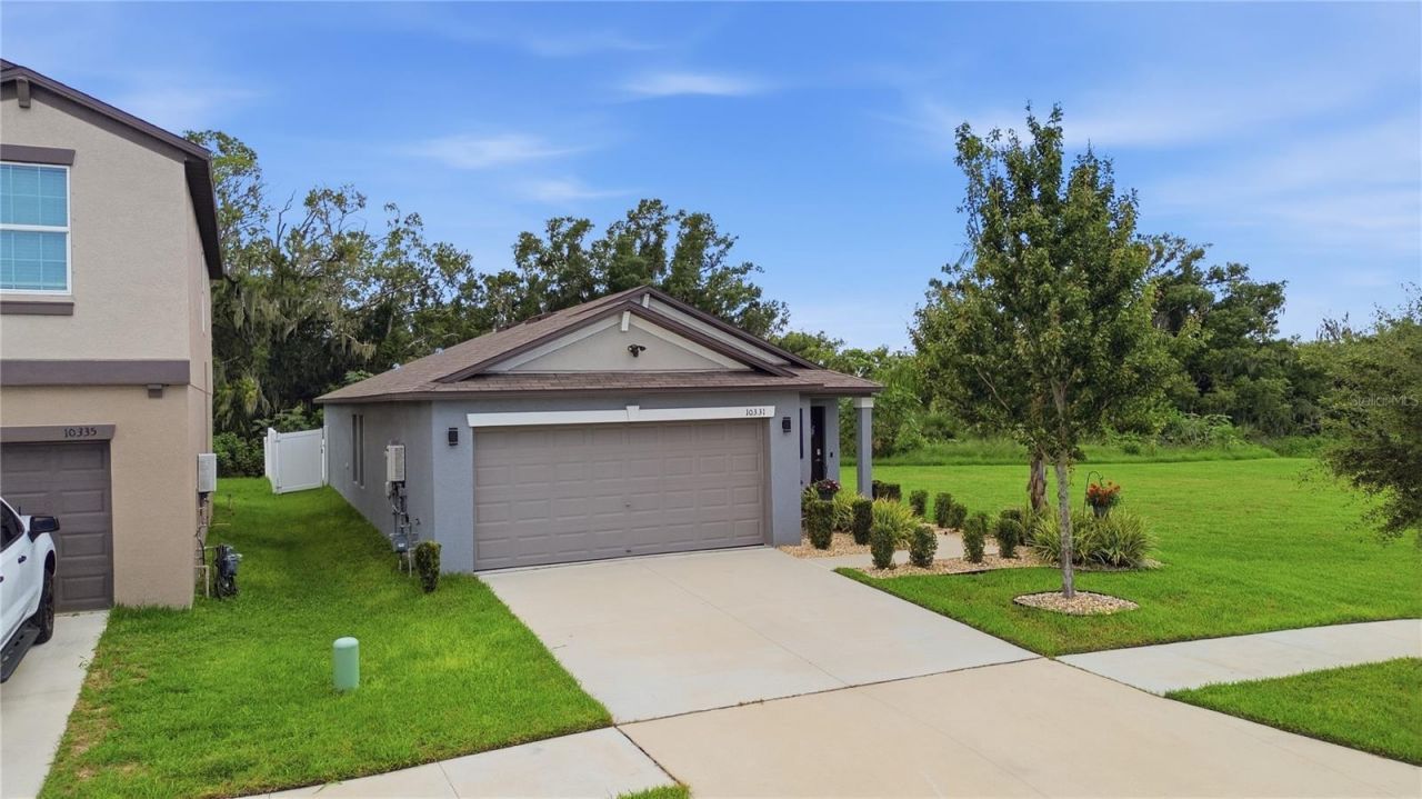 10331 Blue Plume Court , Riverview, FL 33578 Photo