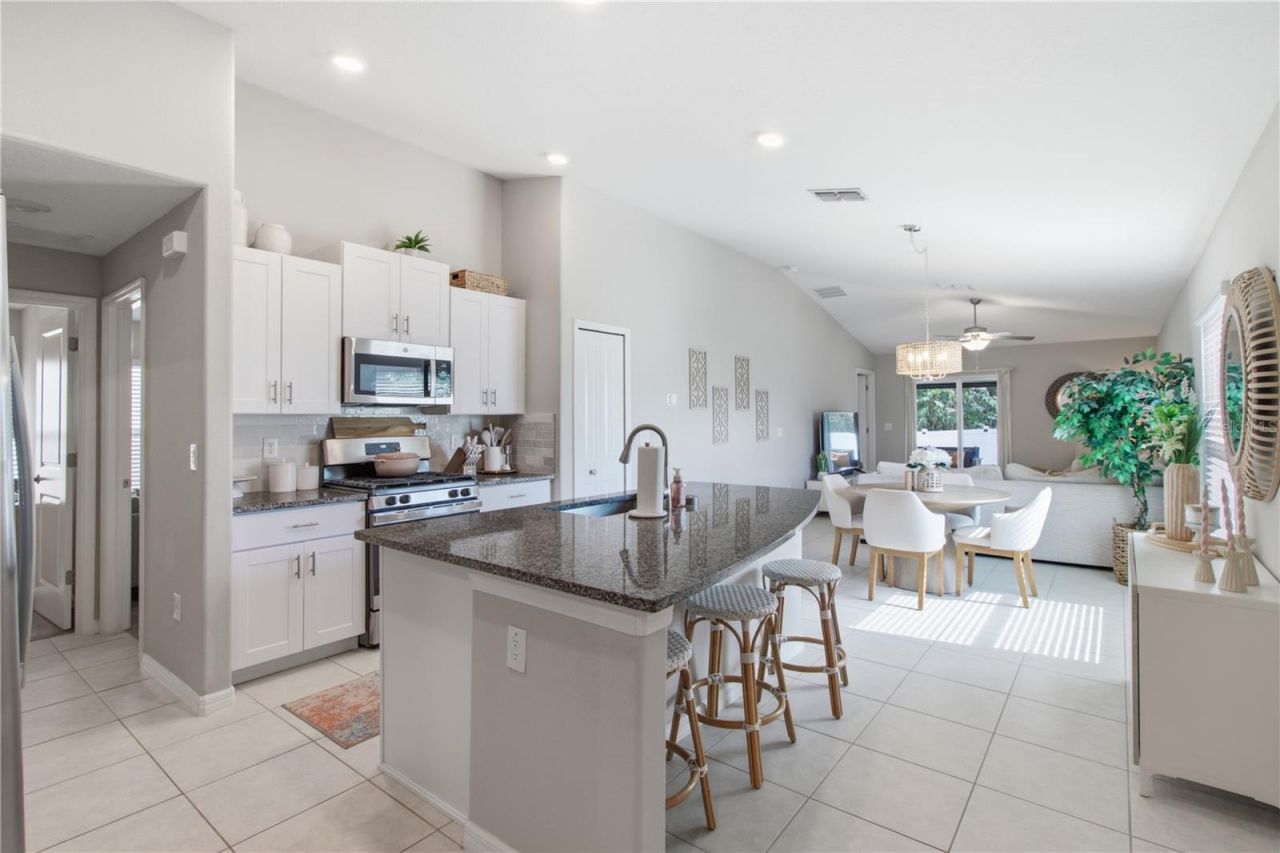 10331 Blue Plume Court , Riverview, FL 33578 Photo