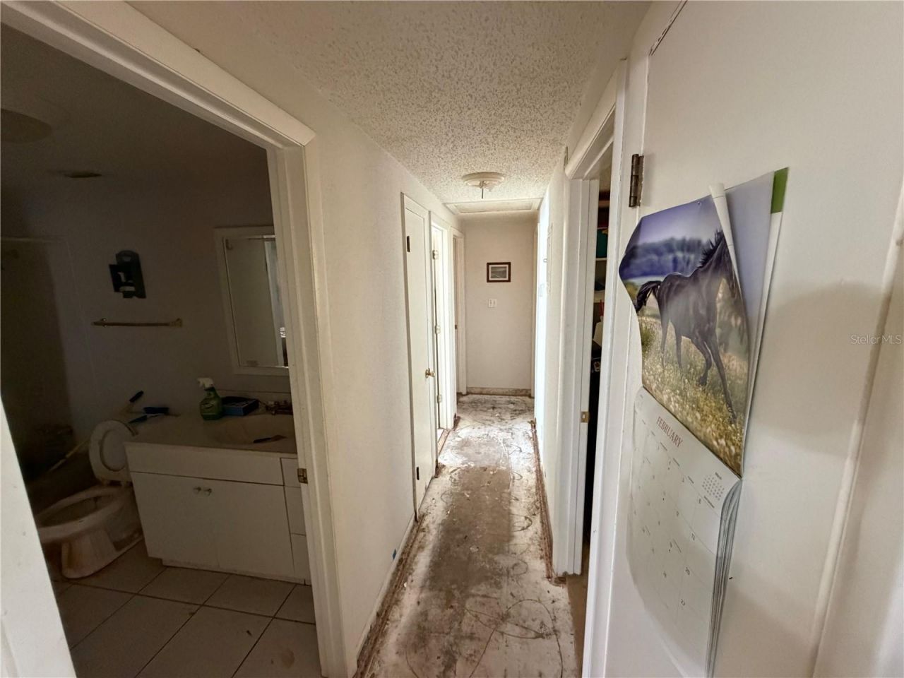 632 W Keysville Road, Plant City, FL 33567 Photo