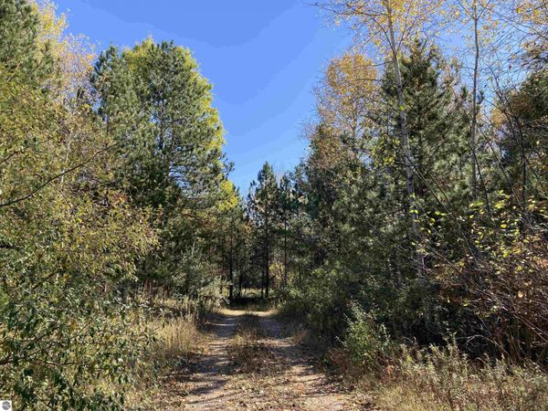 Flynn Road, Rose City, MI 48654
