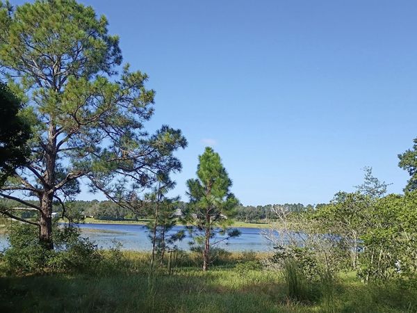 17230 SE Highway 42, Weirsdale, FL 32195