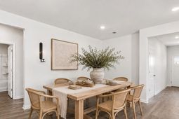 1036 Autumn Maple Dr  photo 4