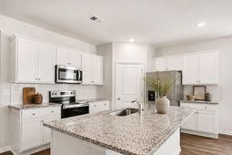 1036 Autumn Maple Dr  photo 4