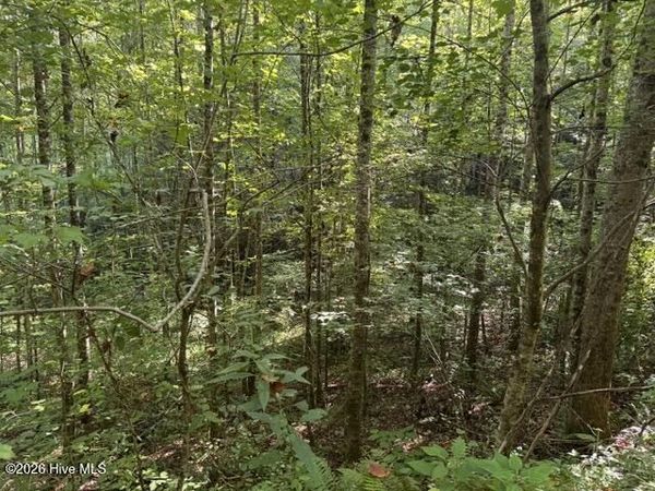 3 Tyler Lane , Marble, NC 28905