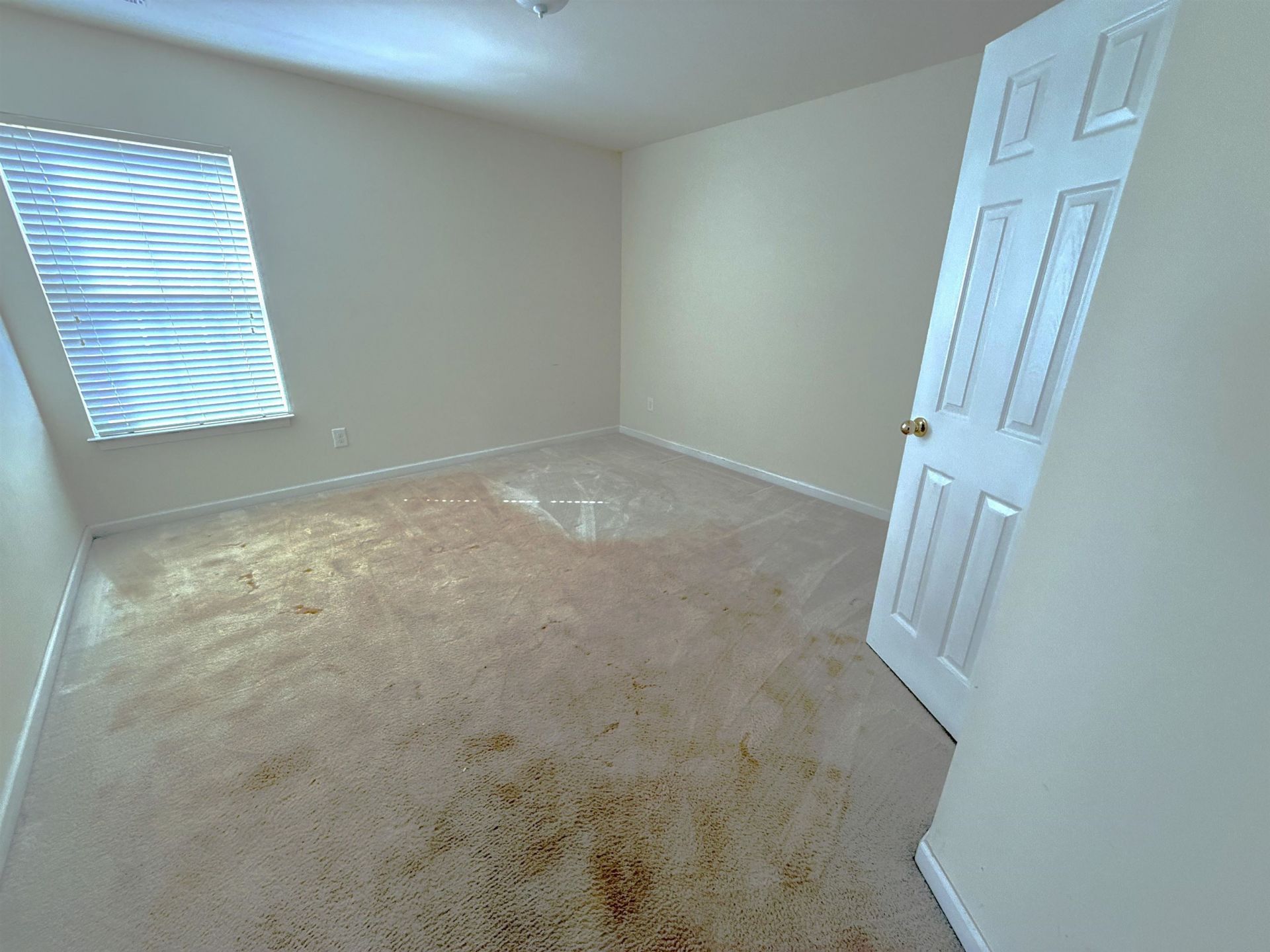 601 Rivers St. Photo 32