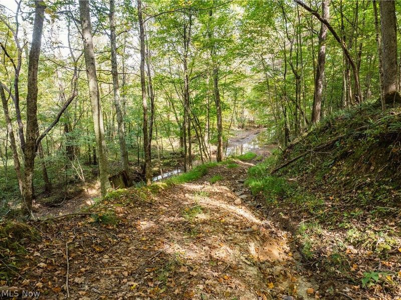 5871 State Rt 204, Mount Perry, OH 43760 Photo 12