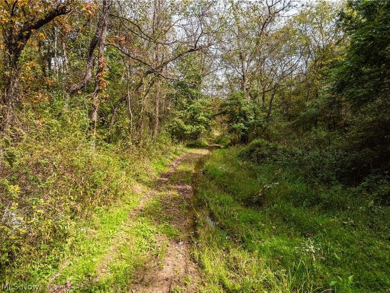 5871 State Rt 204, Mount Perry, OH 43760 Photo 14