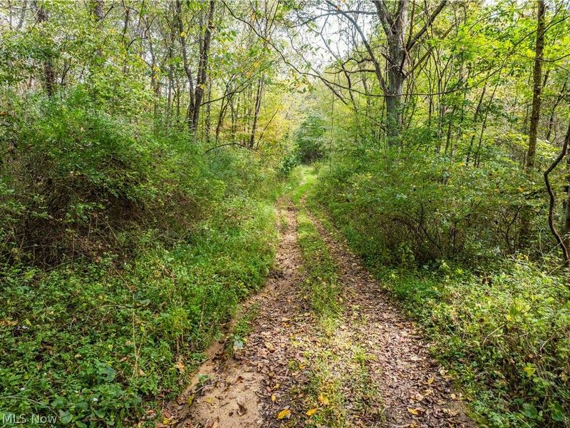 5871 State Rt 204, Mount Perry, OH 43760 Photo 15