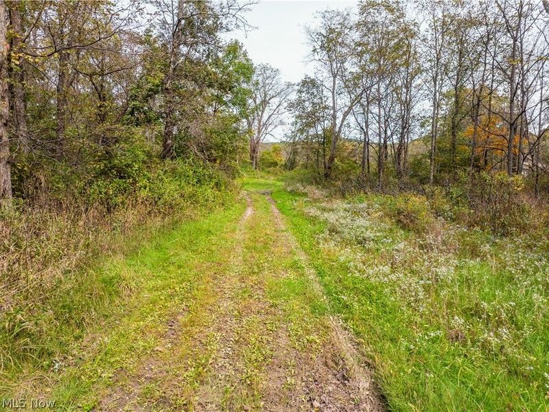 5871 State Rt 204, Mount Perry, OH 43760 Photo 16