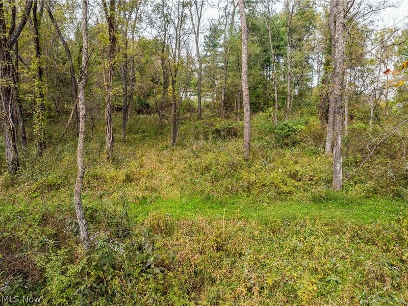 5871 State Rt 204, Mount Perry, OH 43760 Photo 17