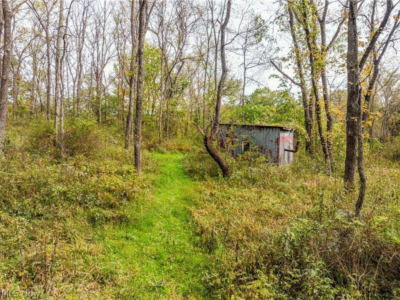 5871 State Rt 204, Mount Perry, OH 43760 Photo 18