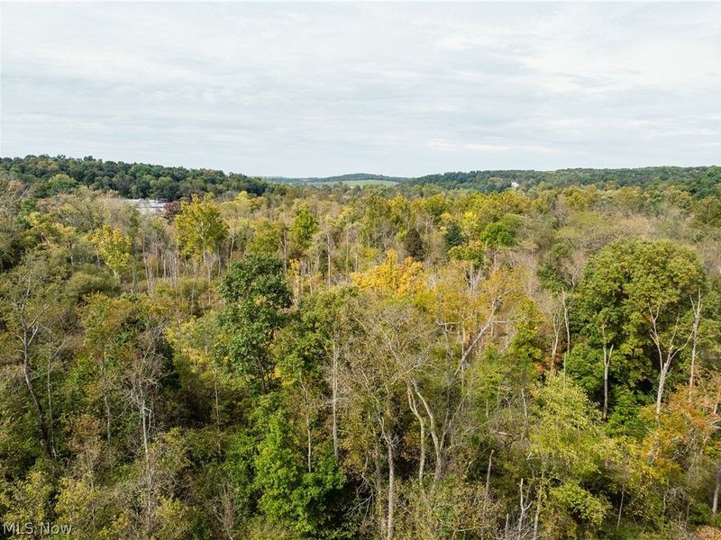 5871 State Rt 204, Mount Perry, OH 43760 Photo 24