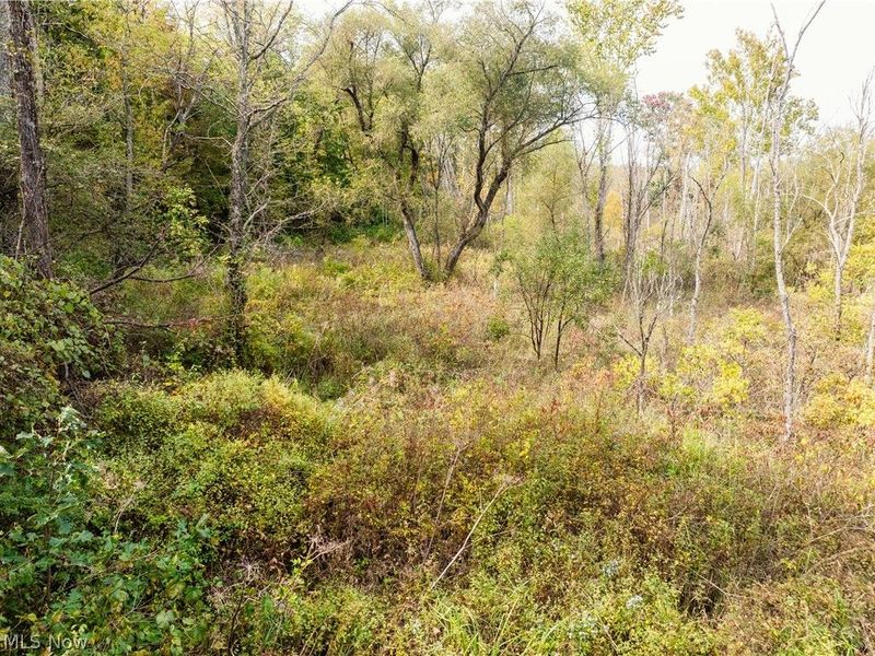 5871 State Rt 204, Mount Perry, OH 43760 Photo 25