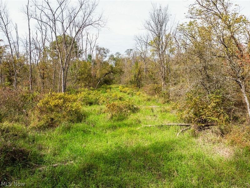 5871 State Rt 204, Mount Perry, OH 43760 Photo 26