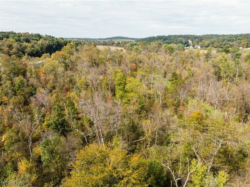 5871 State Rt 204, Mount Perry, OH 43760 Photo 28