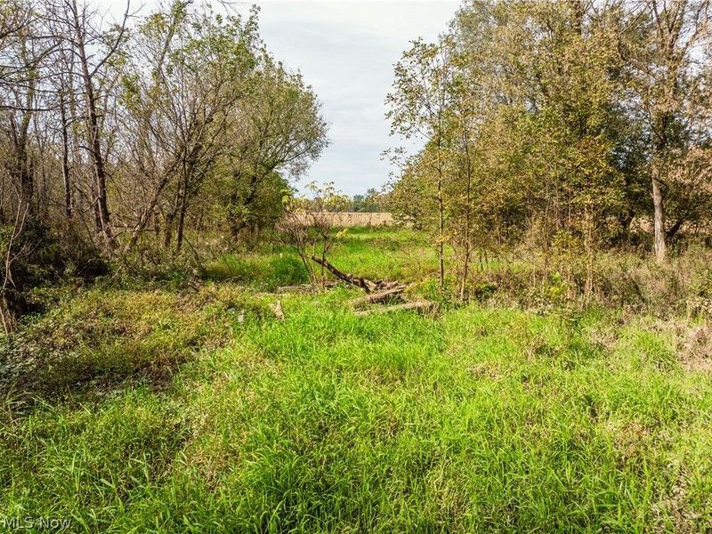 5871 State Rt 204, Mount Perry, OH 43760 Photo 30