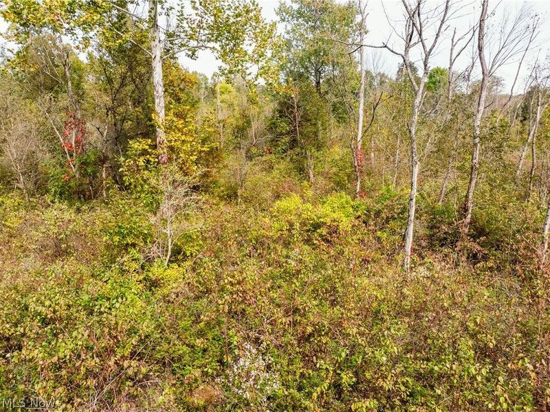 5871 State Rt 204, Mount Perry, OH 43760 Photo 38