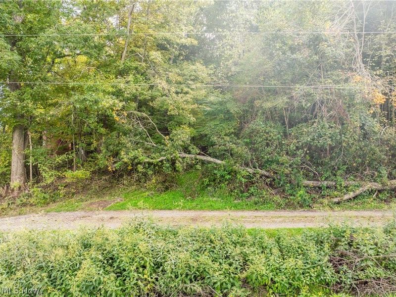 5871 State Rt 204, Mount Perry, OH 43760 Photo 39