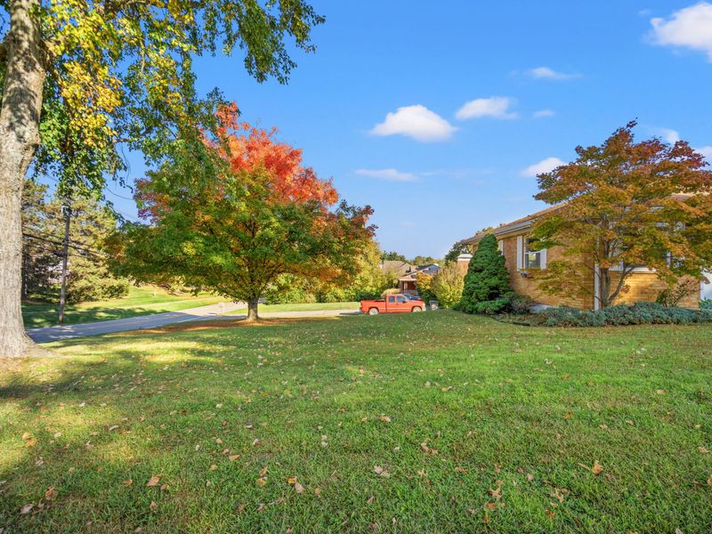 4 Langview Drive, Wilder, KY 41076 Photo 21