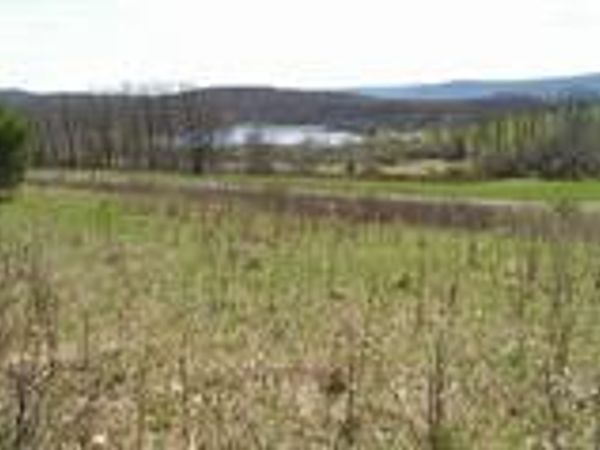 Palmer Road , Schenevus, NY 12155