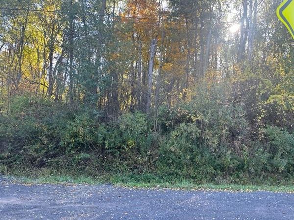 Wheaton Hill Road , Springwater, NY 14560
