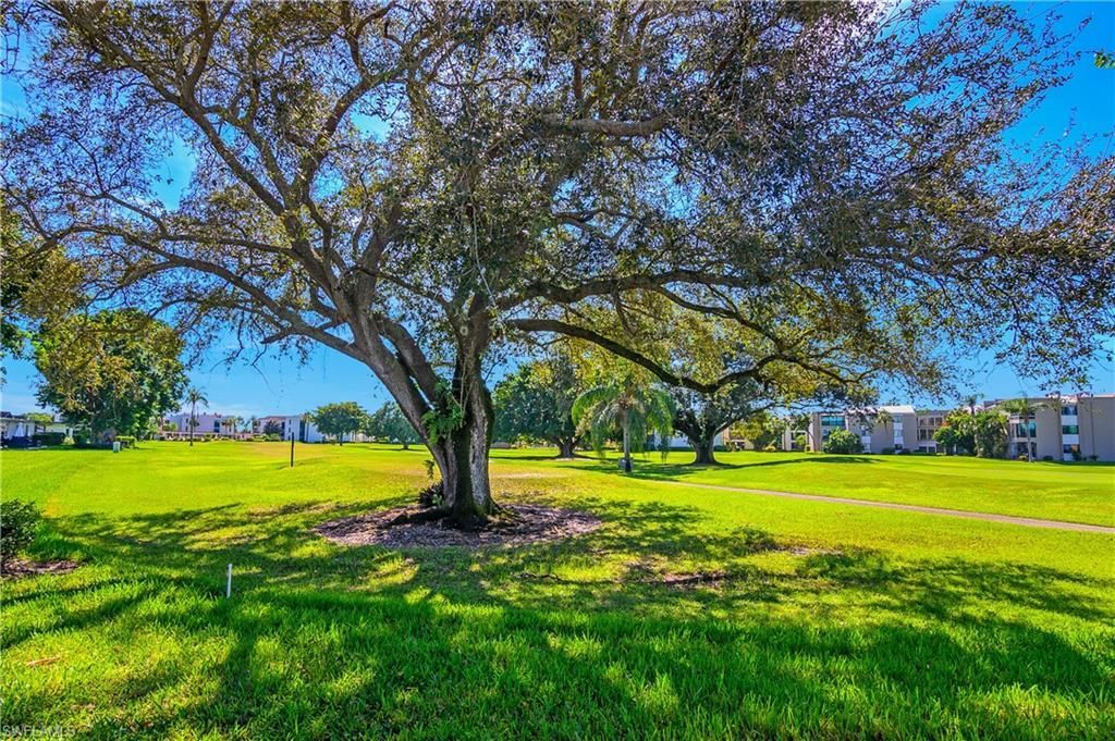 3263 Boca Ciega Dr, Unit D-24, Naples, FL 34112 Photo