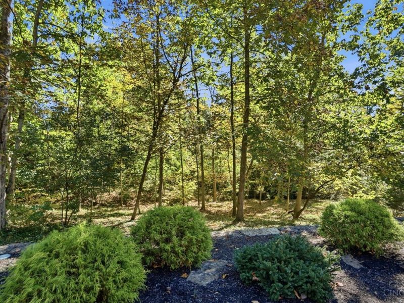 1091 Raintree Drive, Milford, OH 45150 Photo 74