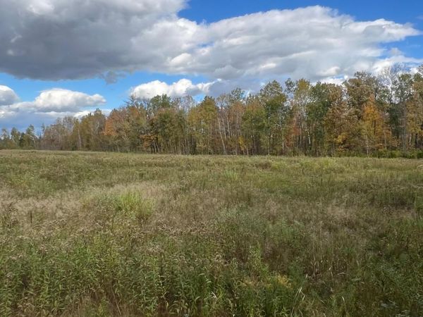 xxx County Rd 1, Emily, MN 56447