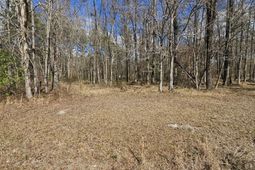 271 Winningham Road photo 4
