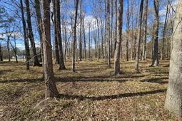 271 Winningham Road photo 4